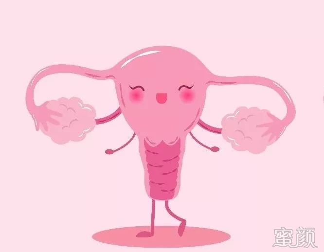 案例图片