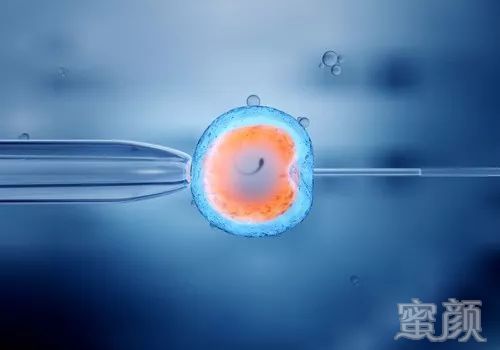 案例图片