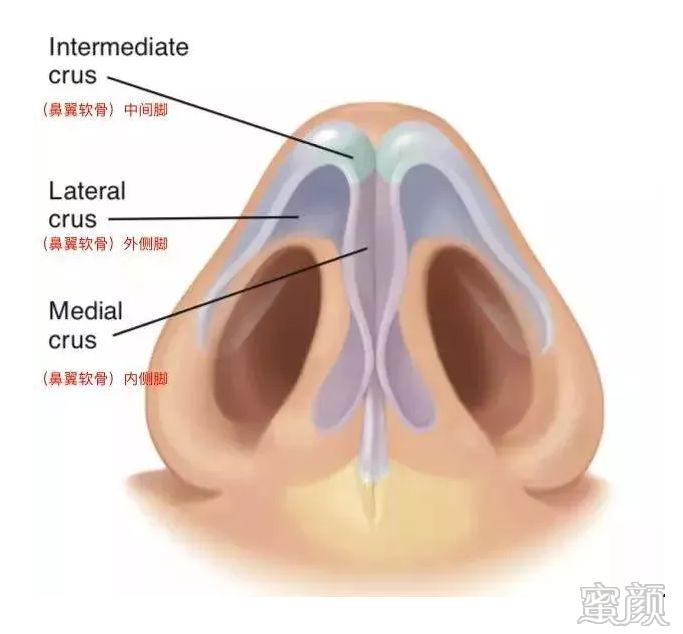 案例图片