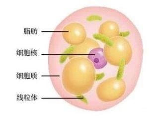 案例图片