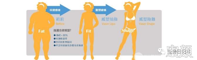 案例图片