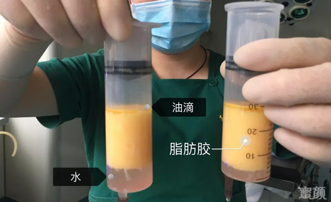 案例图片