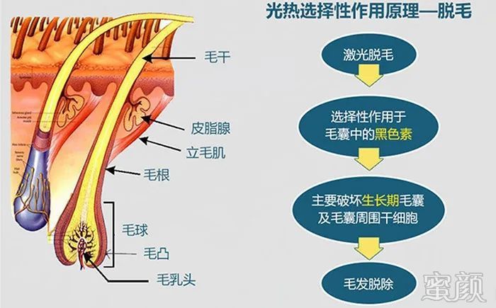 案例图片