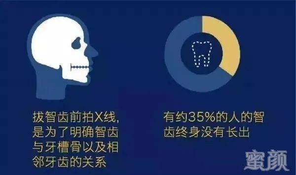 案例图片