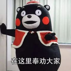 案例图片