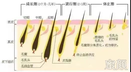 案例图片