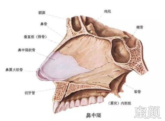 案例图片