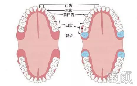 案例图片