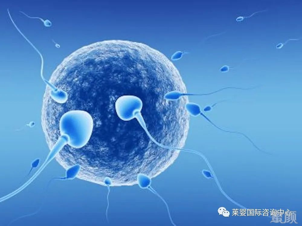 案例图片