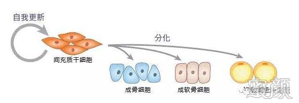 https://img.yiyiaimei.com/mnt/timg/200415/140P31118-0.jpg