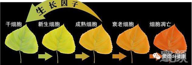 https://img.yiyiaimei.com/mnt/timg/200415/140PA150-2.jpg