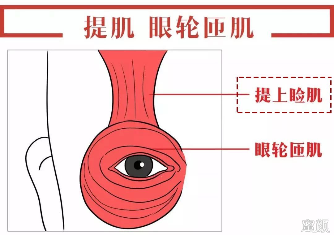 https://img.yiyiaimei.com/mnt/timg/200415/144F252M-1.jpg