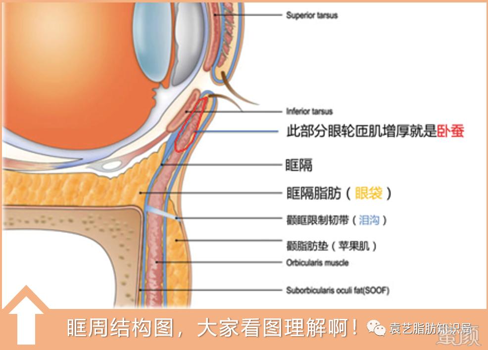 案例图片