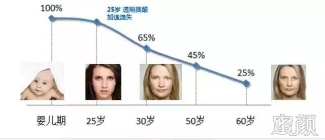 案例图片