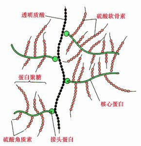案例图片