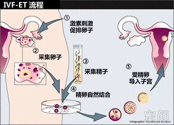 案例图片