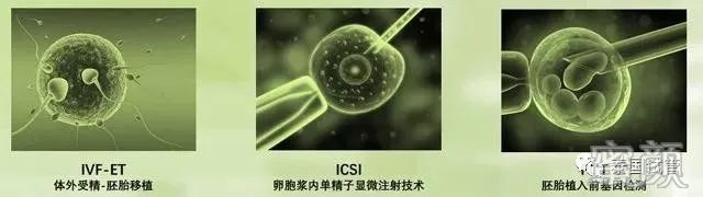 案例图片