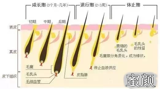 案例图片