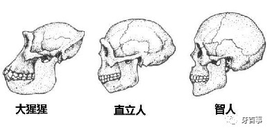 案例图片