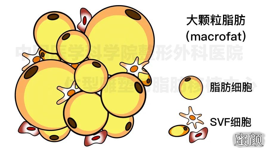 案例图片