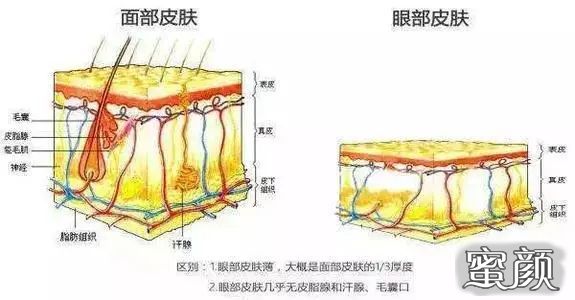 https://img.yiyiaimei.com/mnt/timg/200421/115S02646-3.jpg 案例图片