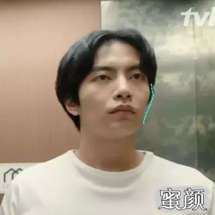 案例图片