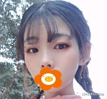 案例图片