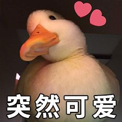https://img.yiyiaimei.com/mnt/timg/200422/14234U431-2.jpg
