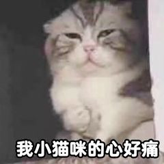 https://img.yiyiaimei.com/mnt/timg/200422/14234V503-3.jpg