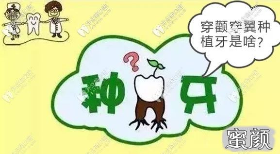 案例图片