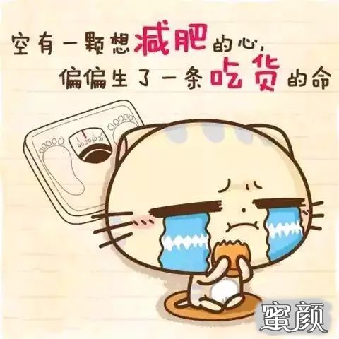 案例图片