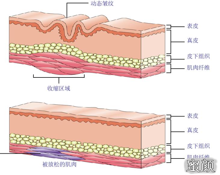 案例图片