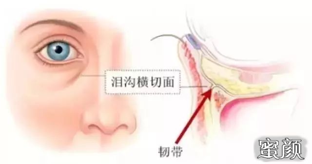 https://img.yiyiaimei.com/mnt/timg/200424/1H2504091-5.jpg