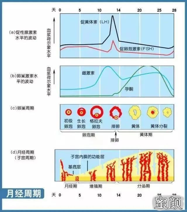 案例图片