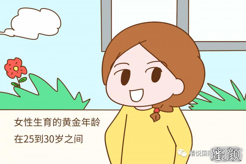 案例图片