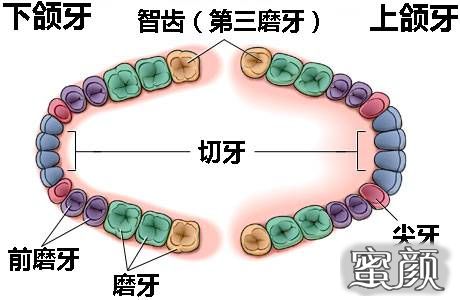 案例图片