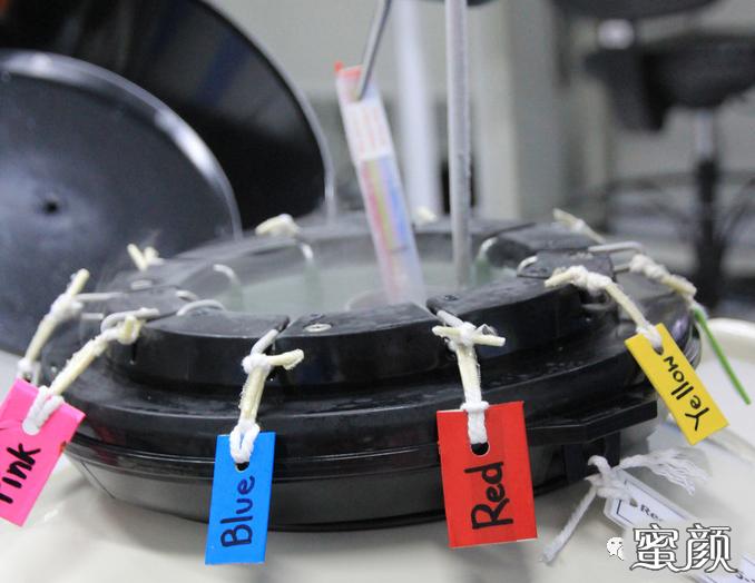 https://img.yiyiaimei.com/mnt/timg/200425/1U33J3Z-1.jpg 案例图片