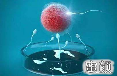 案例图片