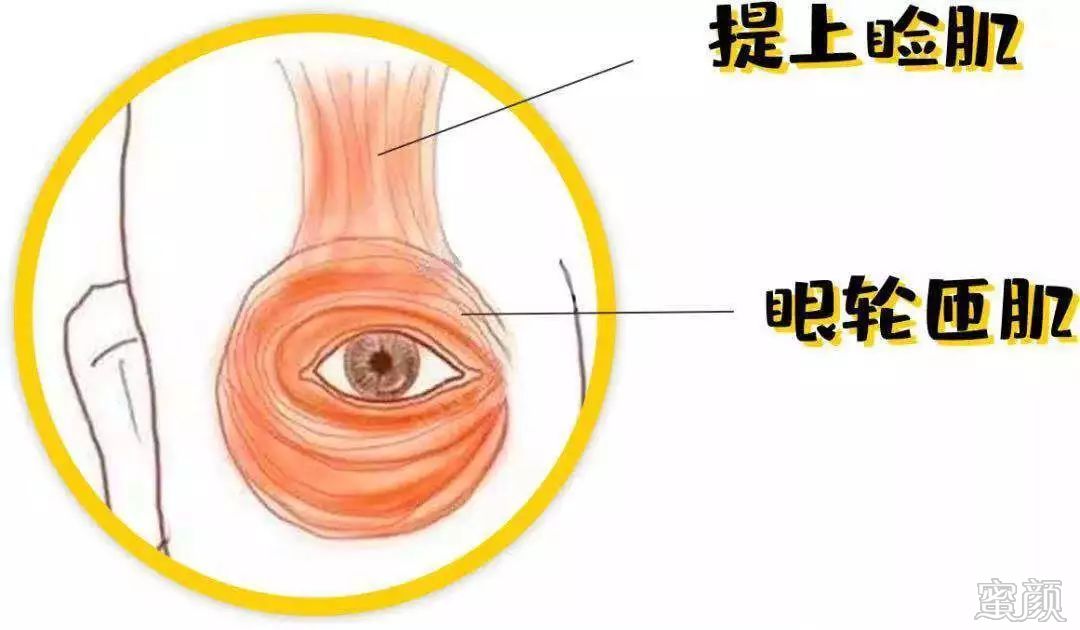 案例图片