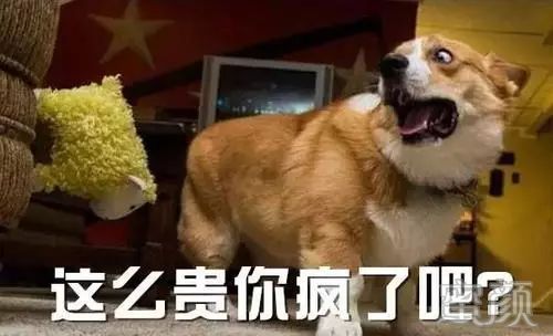 https://img.yiyiaimei.com/mnt/timg/200427/14193320U-0.jpg