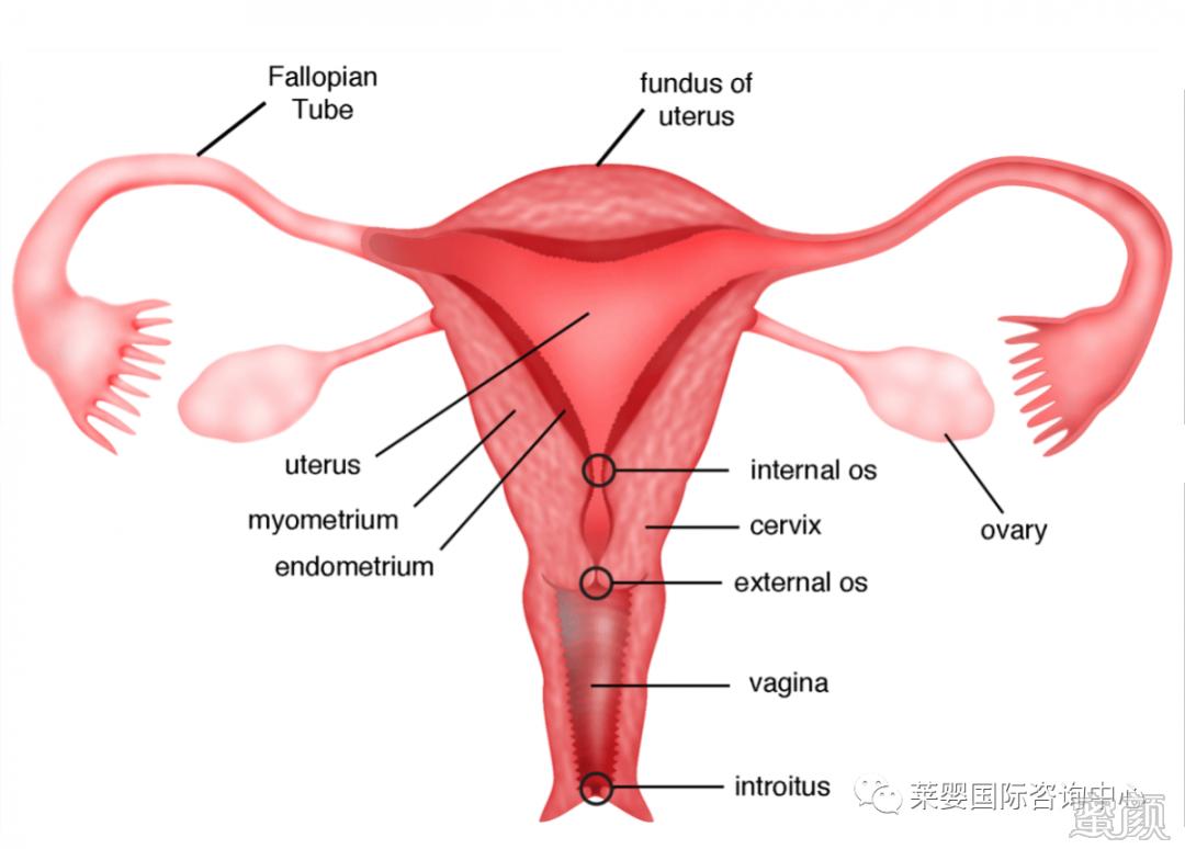 https://img.yiyiaimei.com/mnt/timg/200427/15055K309-2.jpg 案例图片