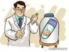 案例图片