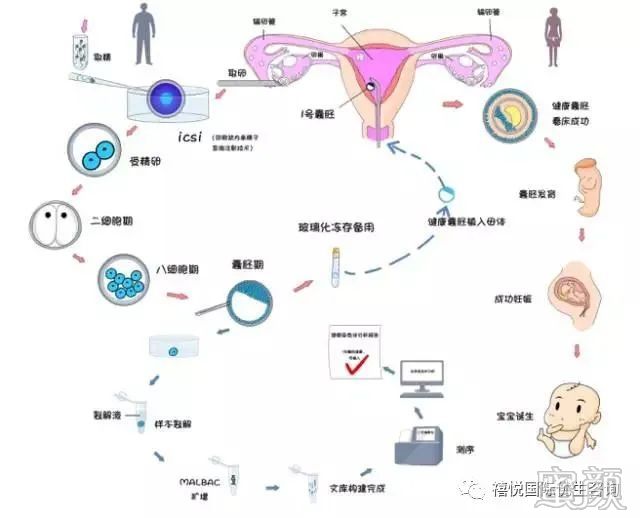 案例图片