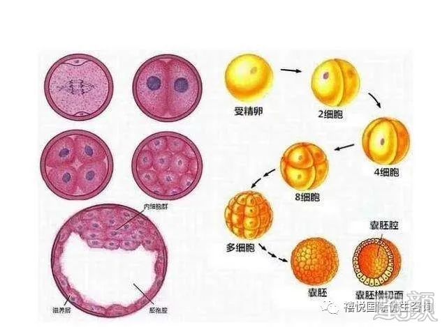 案例图片