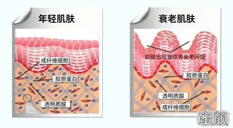 案例图片