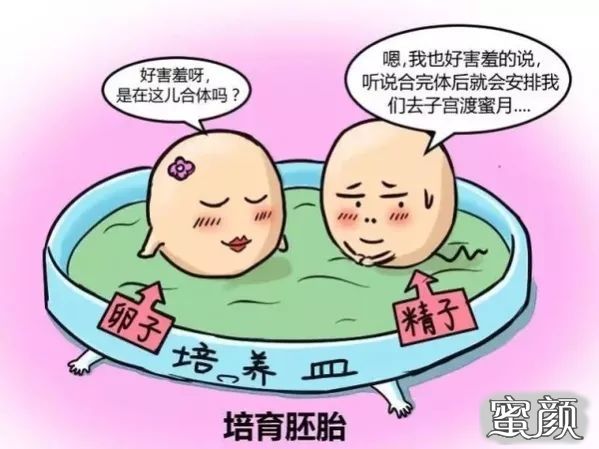 案例图片