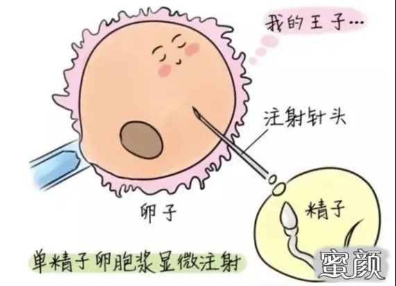 案例图片