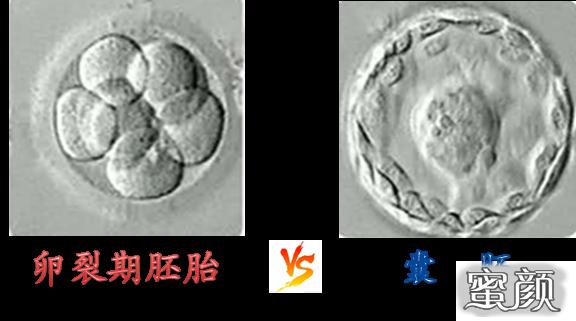 案例图片