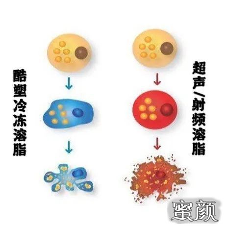 案例图片