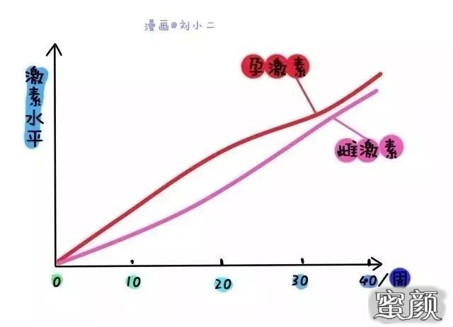 案例图片